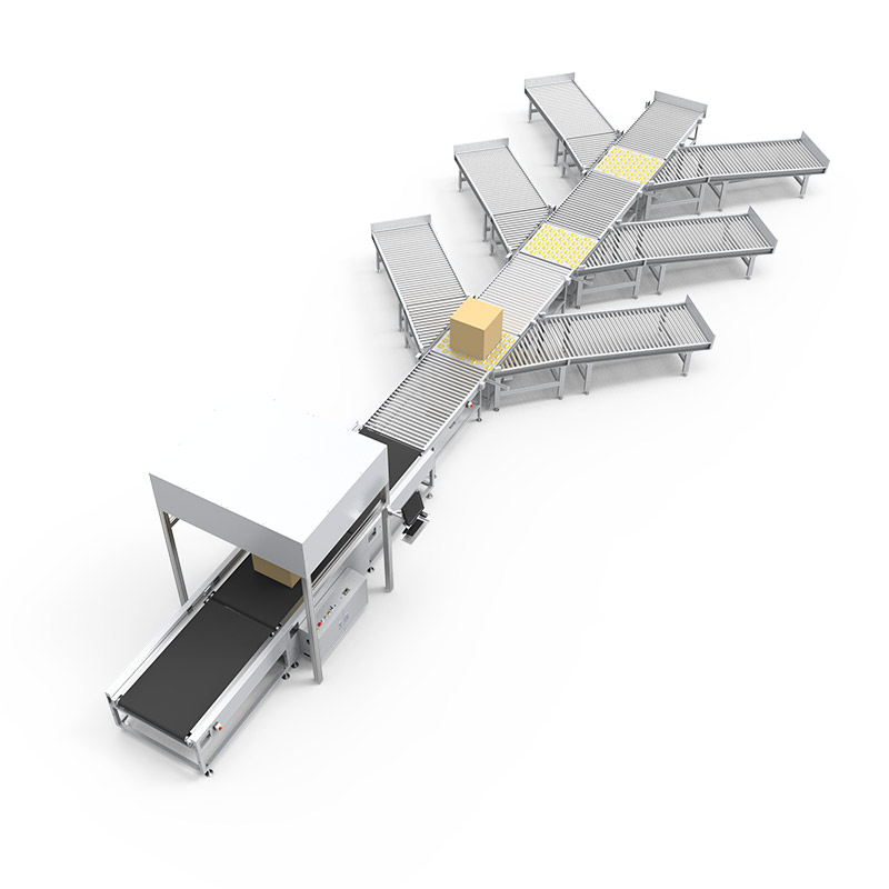 DWS Conveyor With Sorting System